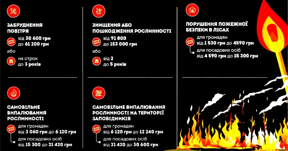 Фото: Центр громадського моніторингу та контролю, фейсбук збільшилась кількість пожеж в екосистемах на території Кегичівської селищної ради на порталі Gromada Group
