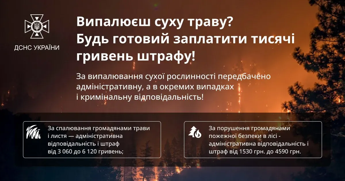 Фото: ДСНС України, сайт Спалювання сухостою завдає не лише матеріальних збитків, а й негативно впливає на довкілля та здоров’я людей у Кегичівській громаді на порталі Gromada Group